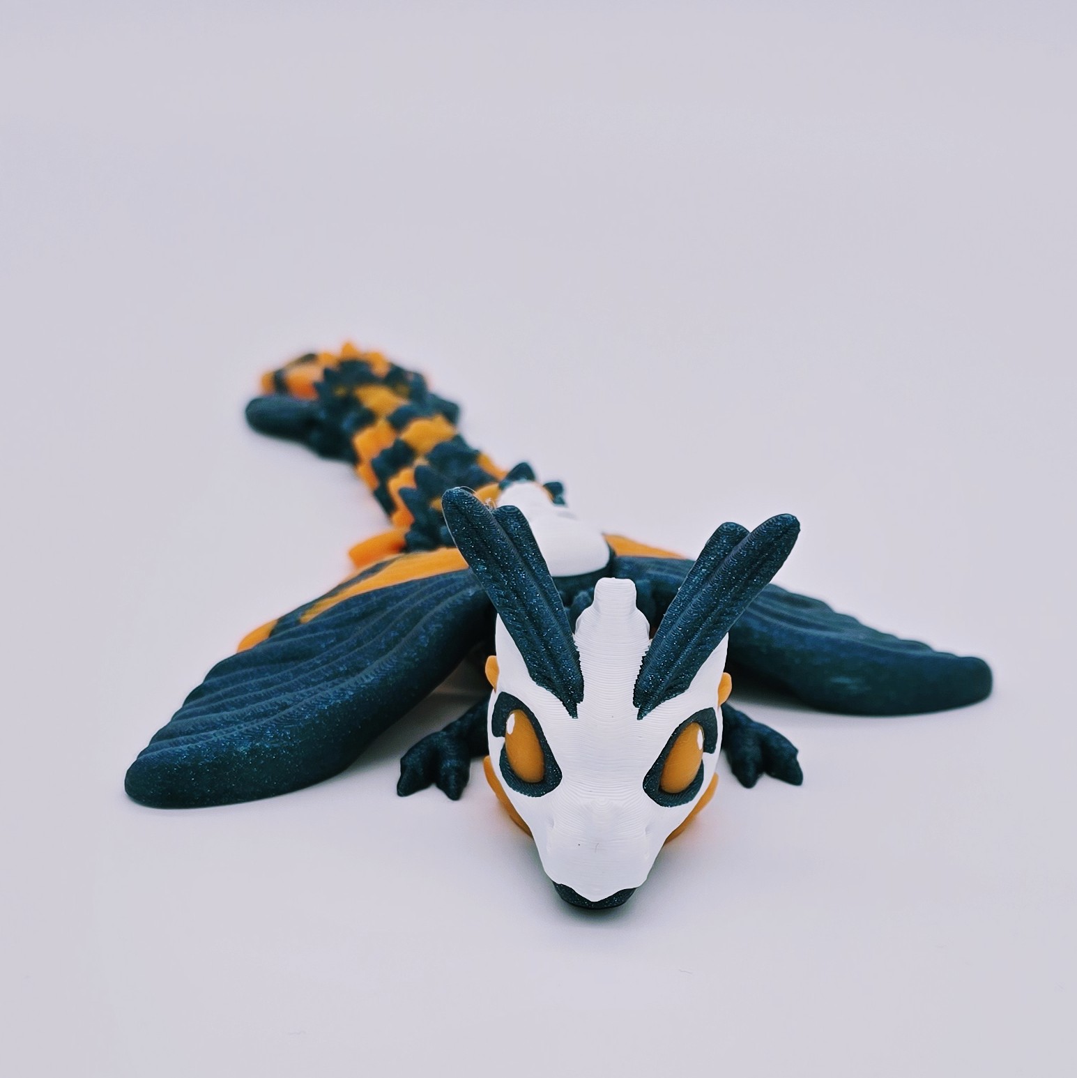 Totenkopfmotte Drache Baby Ansicht 4